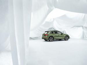 Audi Q5 40 TDI Quattro S-Line 2020 года  (WW)